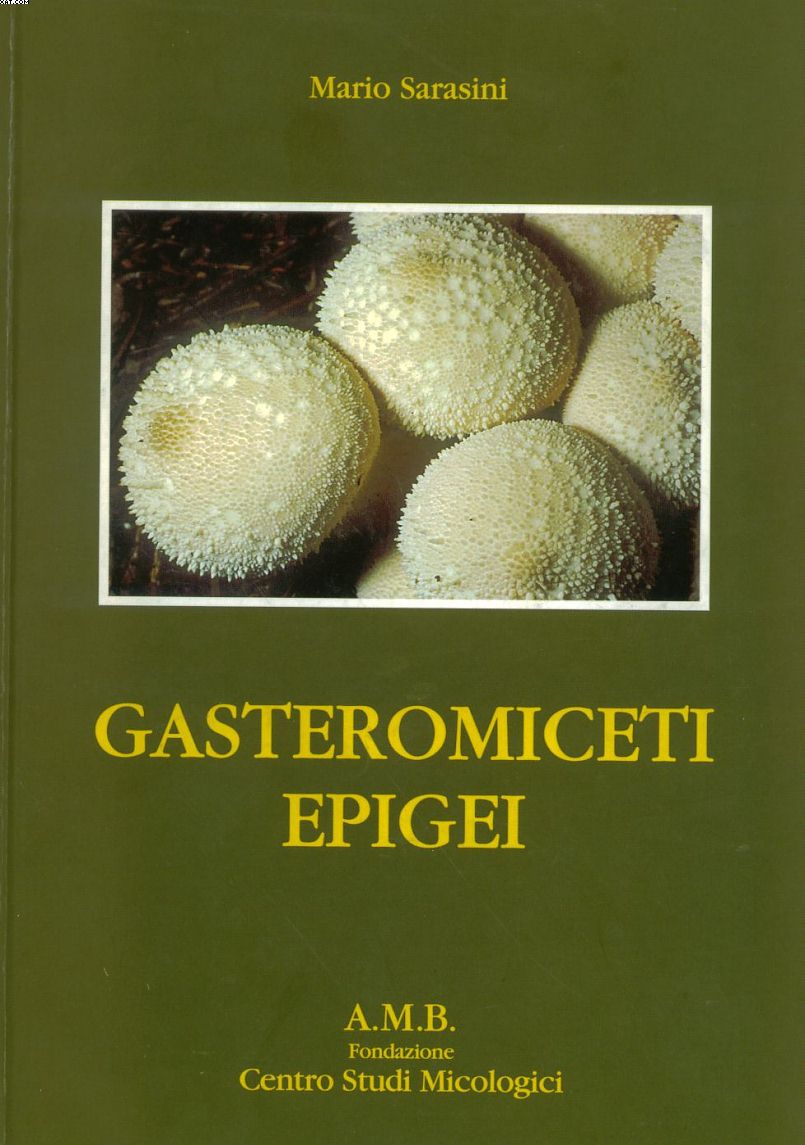 Ultime specie 2005